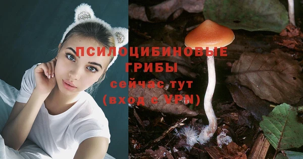 не бодяженный Верхний Тагил