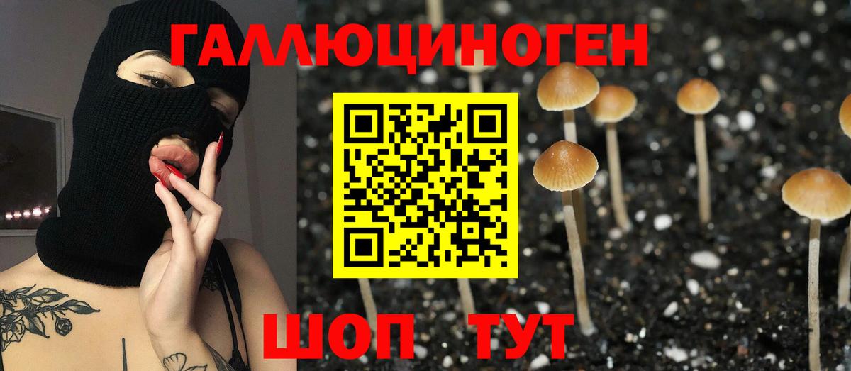 Галлюциногенные грибы мицелий Брянск