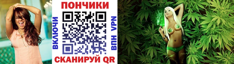 Бошки марихуана Amnesia  darknet как зайти  Брянск  наркотики 